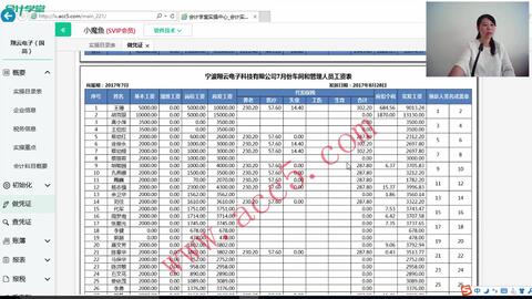 最新酒店會計賬務(wù)處理，提升效率與精確性的關(guān)鍵策略